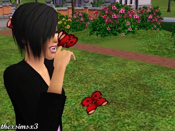 Wpis thexsimsx3