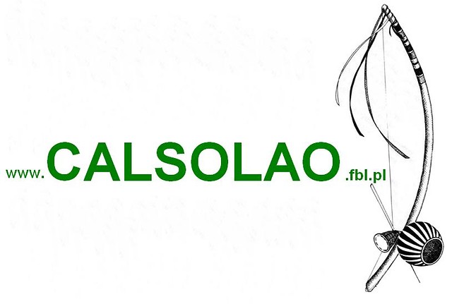 Wpis calsolaocb