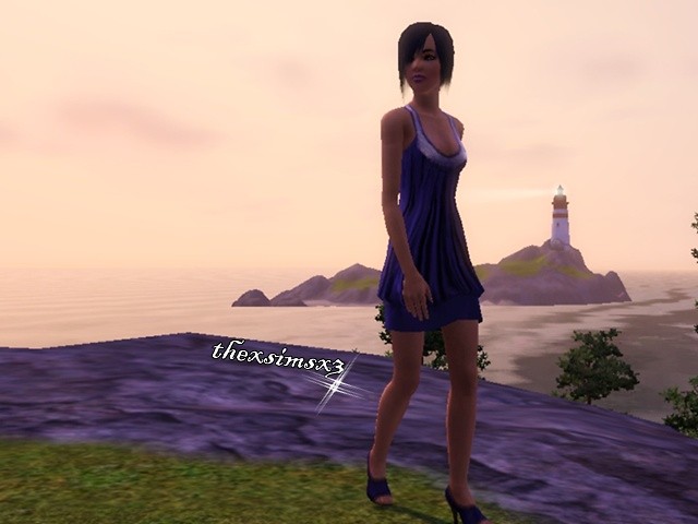 Wpis thexsimsx3