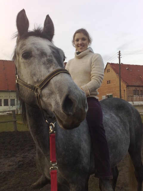 Wpis tynkaa