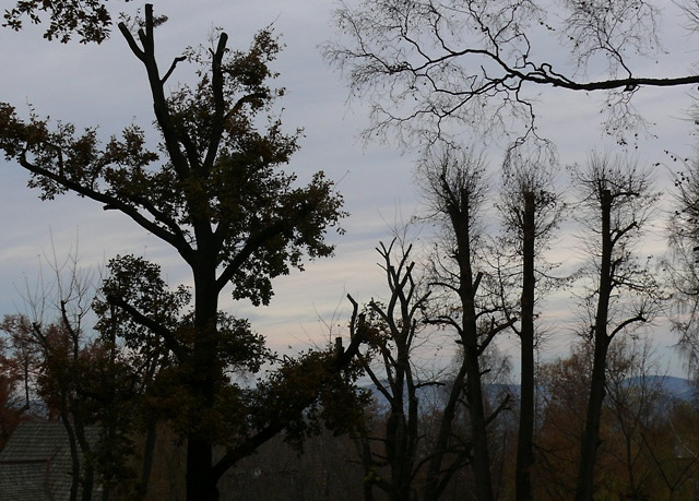 park