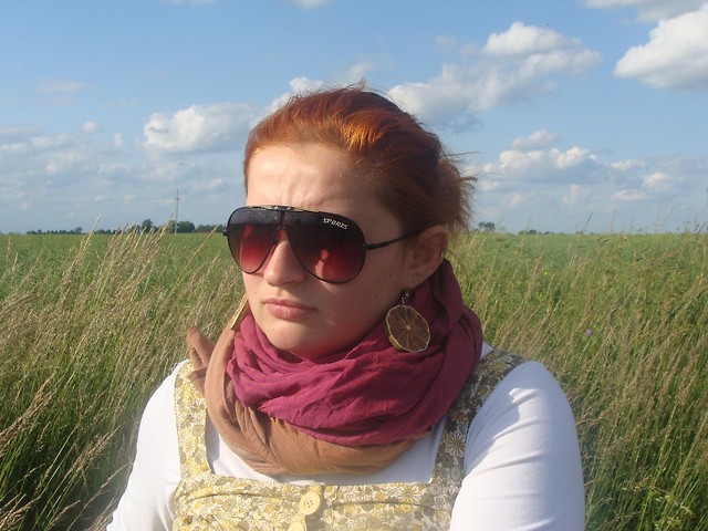 Wpis sylun