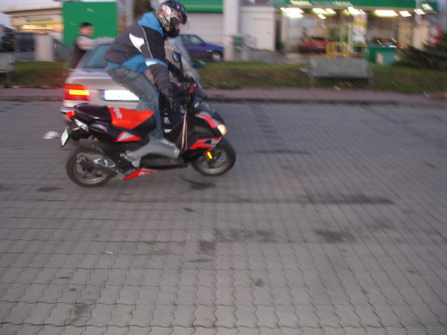 Wpis xsqterxlivex