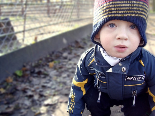 Wpis littleword