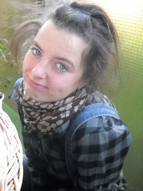 Wpis biegiera