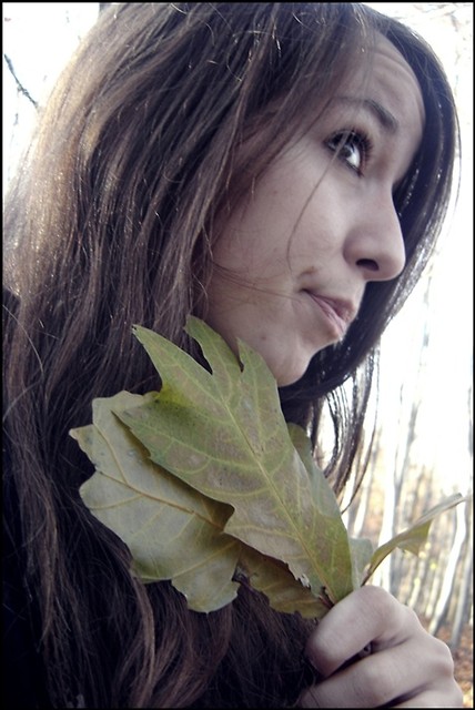 Wpis domussiaa
