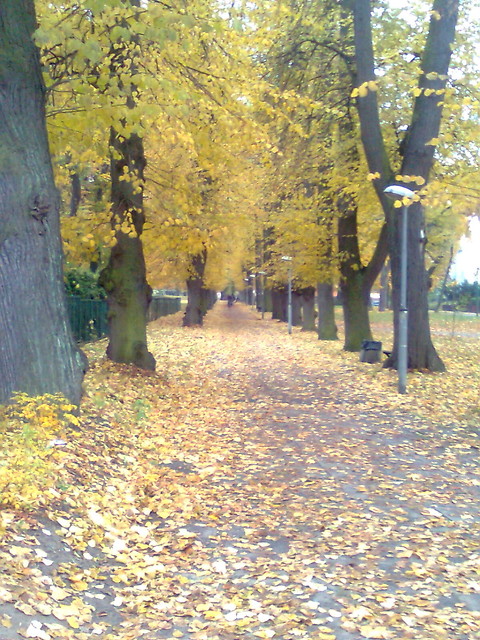 Wpis suziika
