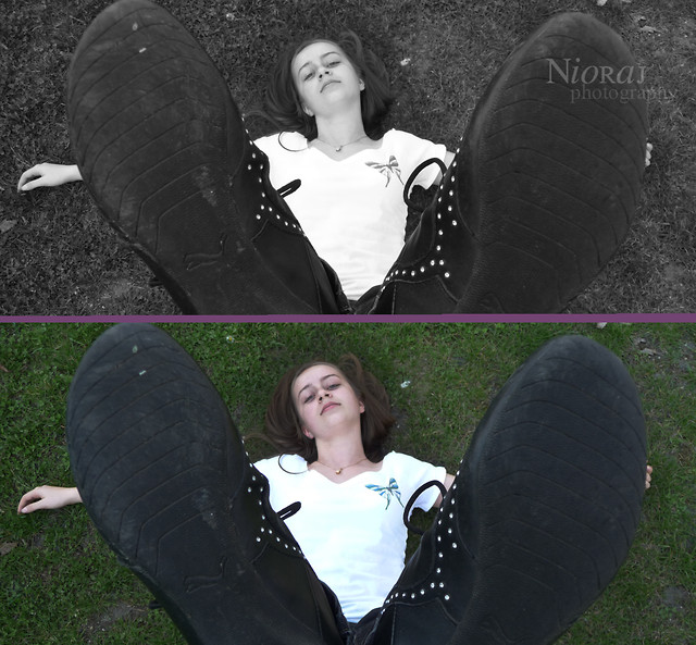 Wpis nioraj