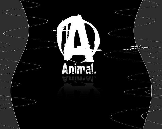 Animal.