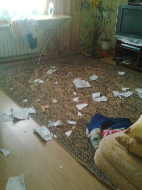 Wpis paaulinkaax3