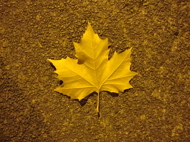 Wpis czeslawalk