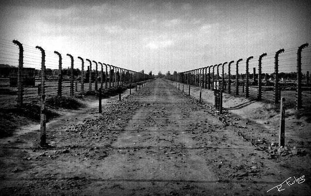 Highway to hell   [ Birkenau ]