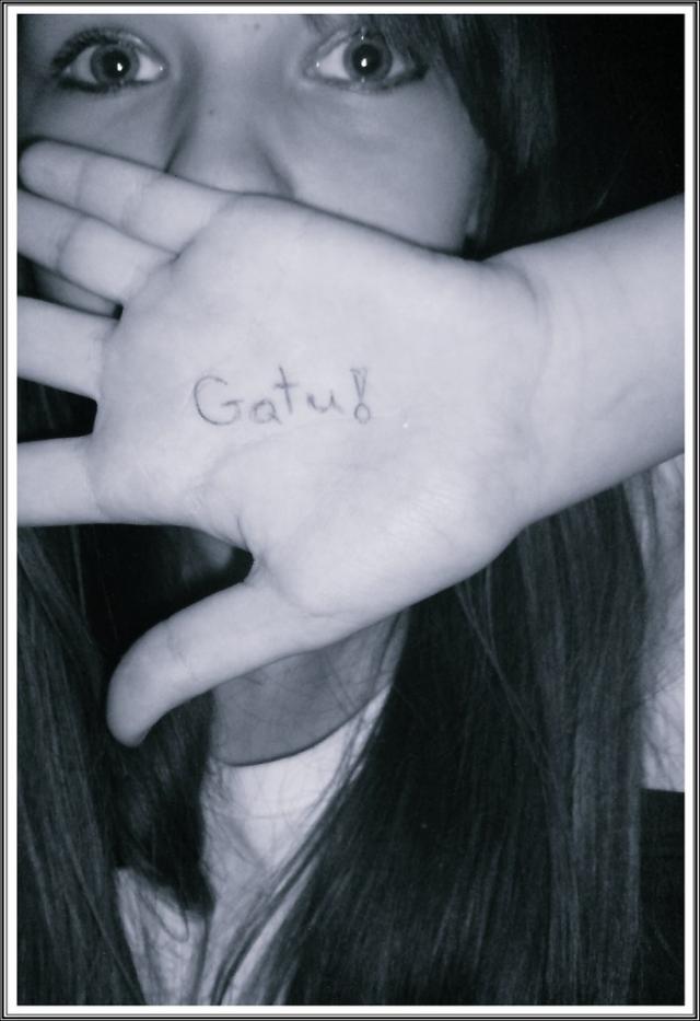 Wpis gatush
