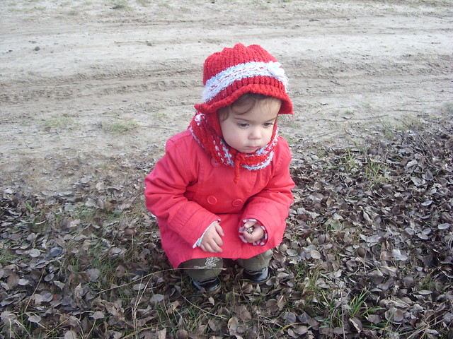 Wpis izabelka