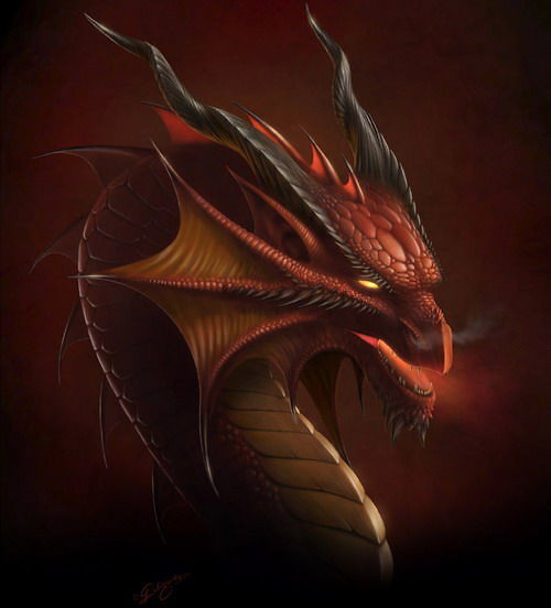 dragons