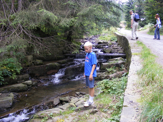ywiec 2008