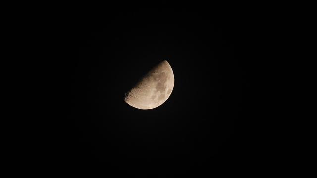 Terra moon