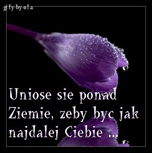 Wpis dominika110593