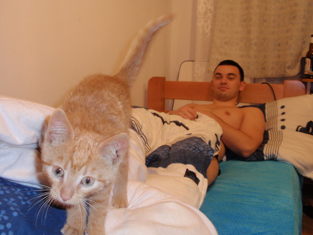 Wpis murekone