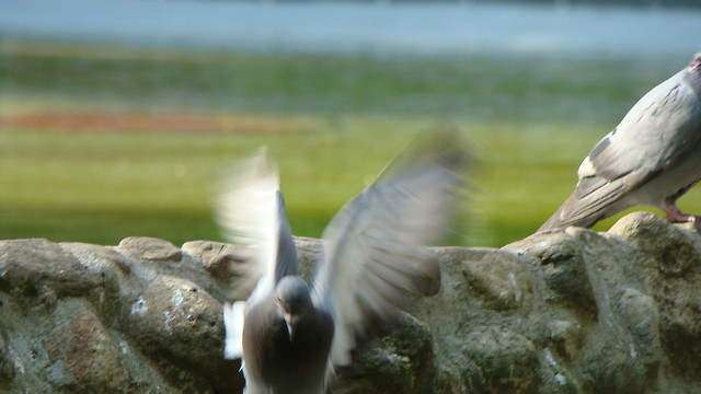 Wpis gphotography