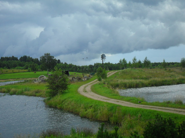Grypa