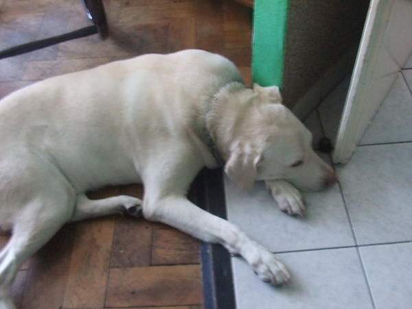 Wpis miloszeeq98