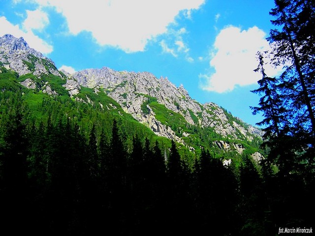 Widoczek