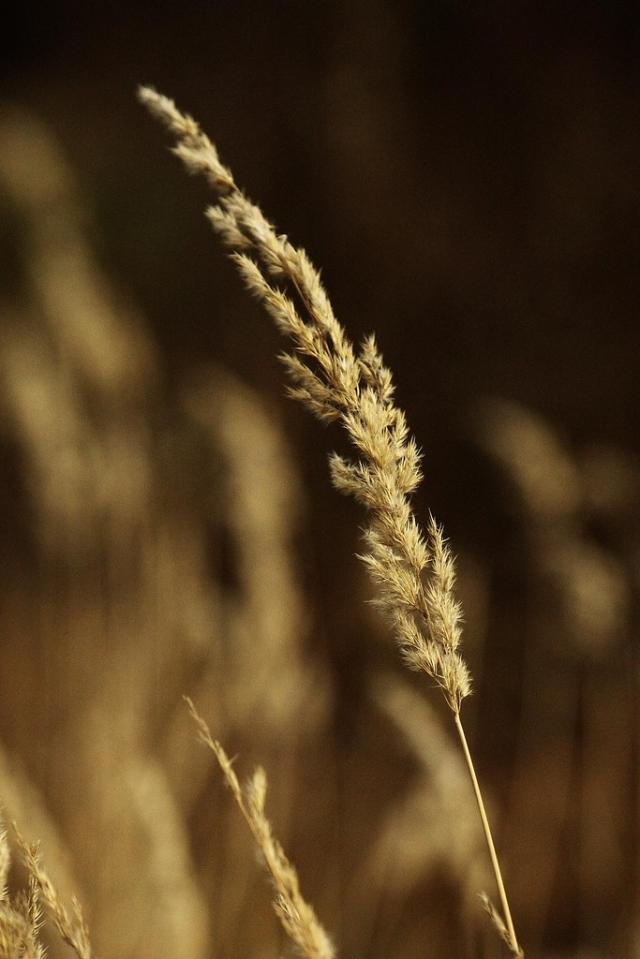 127