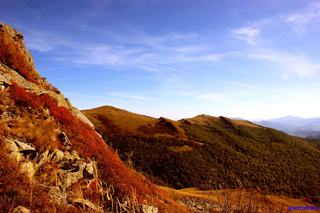 Bieszczady