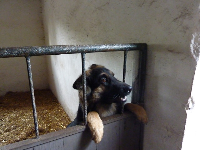 I chce sie zyc!!!:D