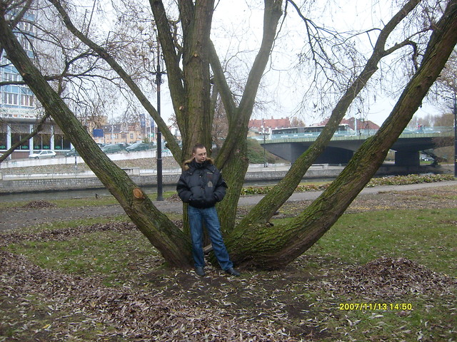 Poetyka jest cool:)