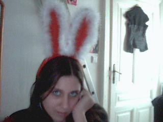 bunny