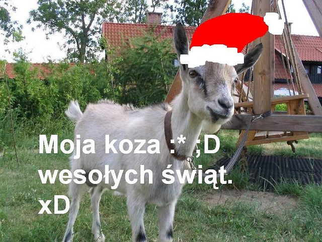 Dzikuje Jejjjjjj     ; ********