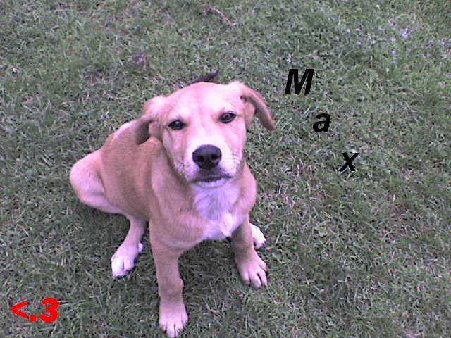 Max xD