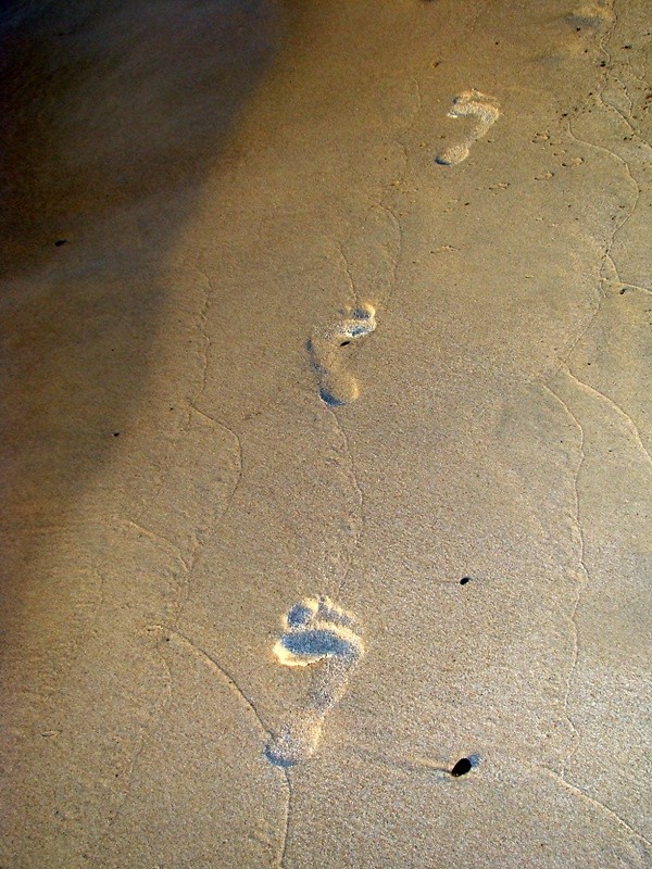 step step step