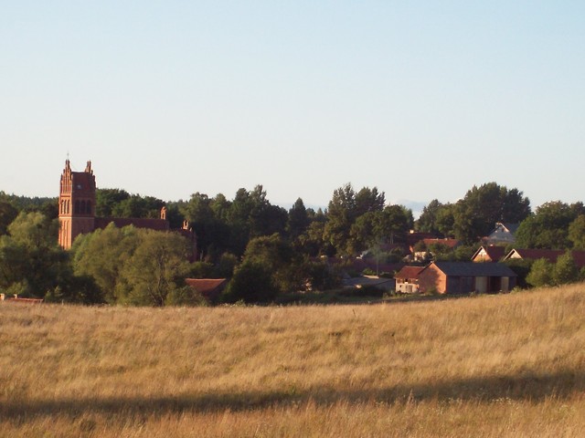 golden fields. 