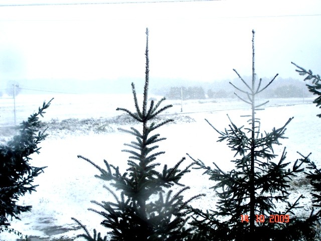 Wpis slodziutka12122