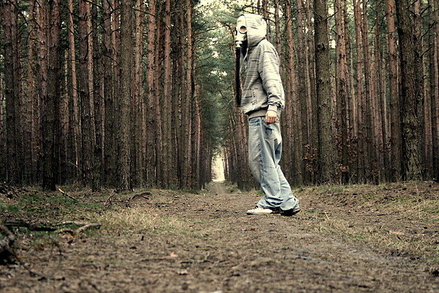 in the forest.
