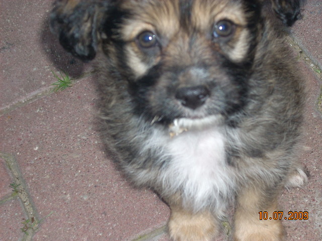 mj cudny ;**