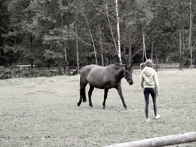 like dream....'