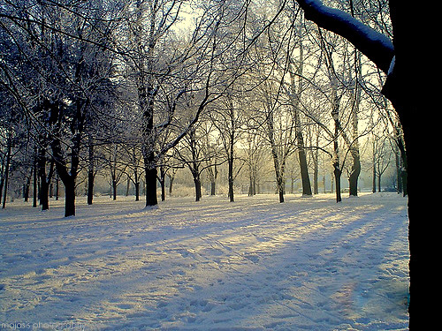 winter