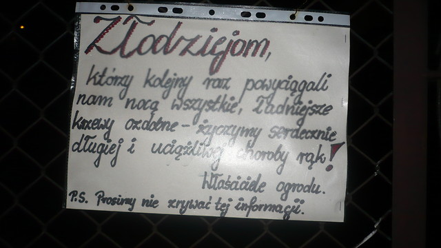 Bo najwaniejsza jest szczero 