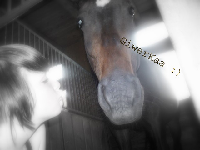 z Giweran :)