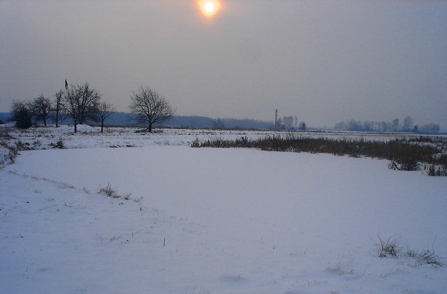 Wpis slodziutka12122