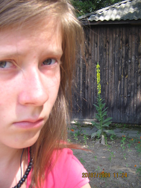 ahh to soce ; ] ]