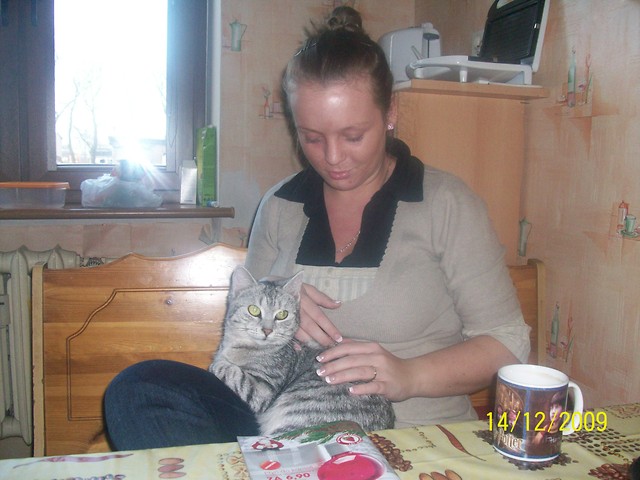 no tak 