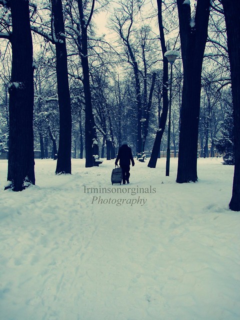 Wpis irminsonorginals