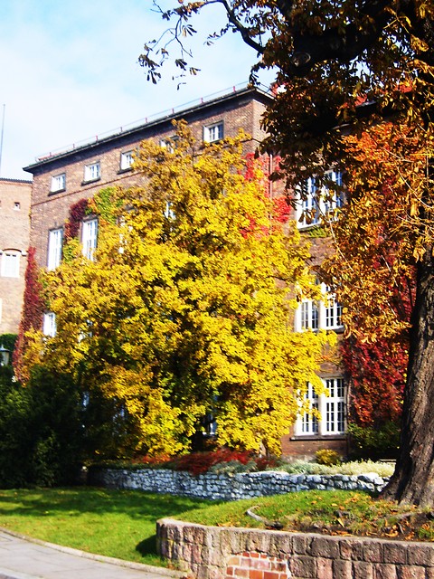 Wpis karolina2075