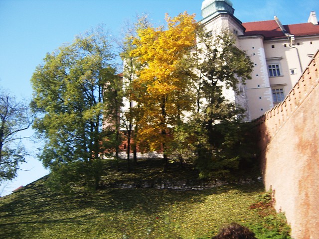 Wpis karolina2075