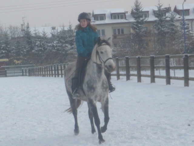 Wpis zulspodbiedronki